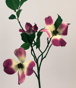 Silk Flowers by JJ Roze Kornoelje | zijden kunstbloem | 45 centimeter