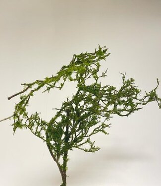 Green winding branch with moss | silk artificial flower | 100 centimeters