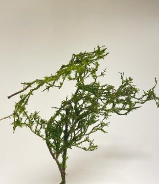 Silk Flowers by JJ Green winding branch with moss | silk artificial flower | 100 centimeters