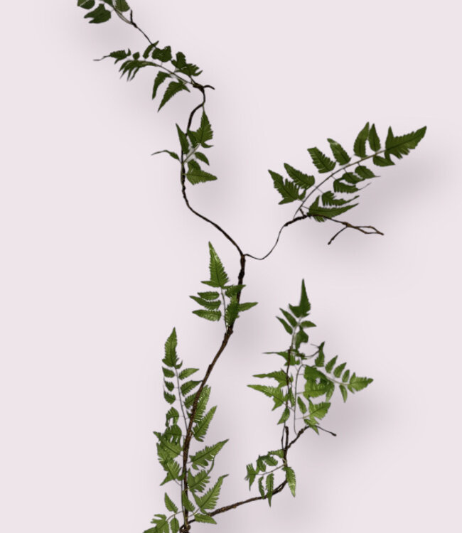 Green Curly branch with fern leaf | Silk artificial flower | Length 150 centimeters