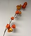 Branche de lanterne orange | Fleur artificielle en soie | Longueur 70 centimètres
