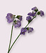 Lilac Lathyrus | Silk artificial flower | Length 48 centimeters