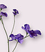 Purple Lathyrus | Silk artificial flower | Length 64 centimeters