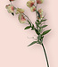 Peach-coloured Lathyrus | Silk artificial flower | Length 70 centimeters