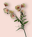 Peach-coloured Lathyrus | Silk artificial flower | Length 70 centimeters