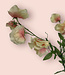 Peach-coloured Lathyrus | Silk artificial flower | Length 70 centimeters