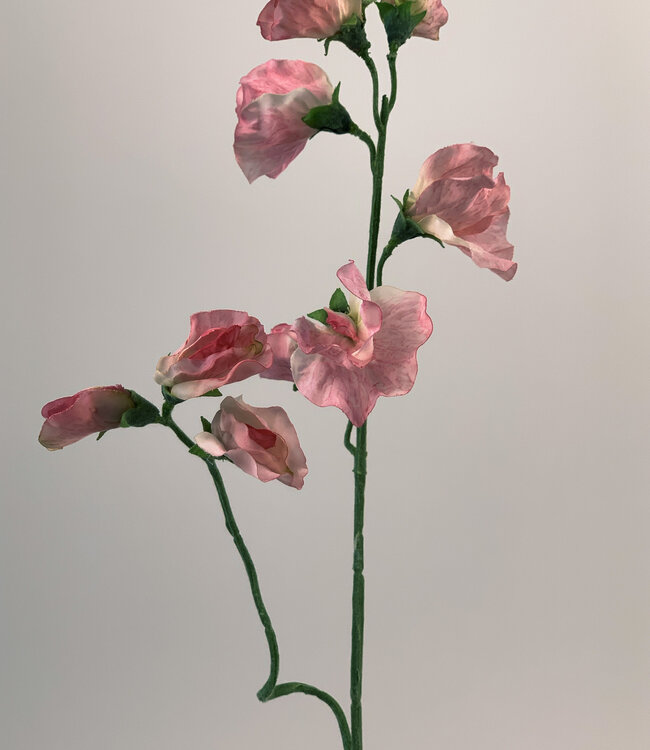 Lathyrus rose | Fleur artificielle en soie | Longueur 40 centimètres