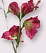 Roze Lathyrus | Zijden kunstbloem | Lengte 64 centimeter