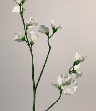 White Lathyrus | silk artificial flower | 64 centimeters
