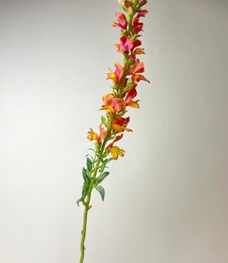 MyFlowers Oranje Leeuwenbek | zijden kunstbloem | 82 centimeter