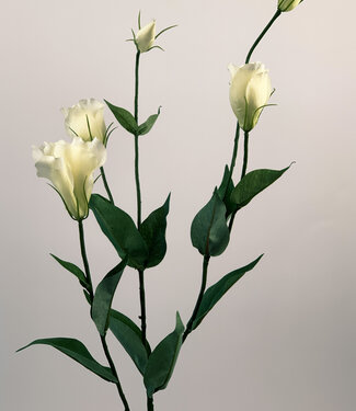 White Lisianthus | silk artificial flower | 75 centimeters