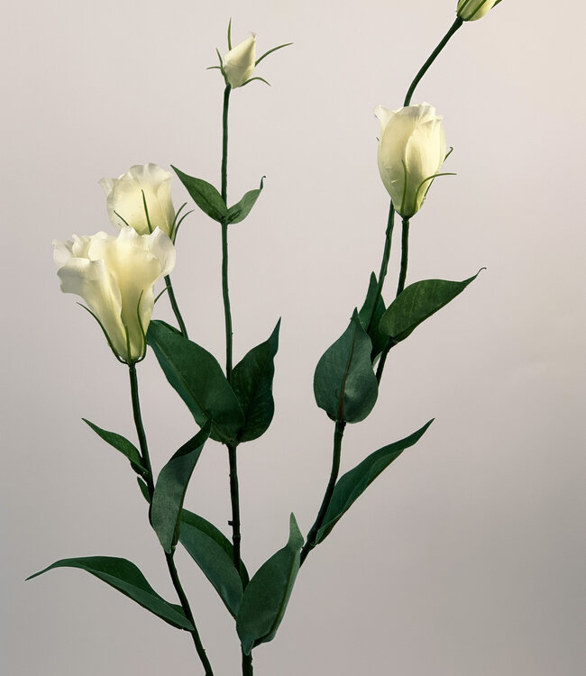 Witte Lisianthus | Zijden kunstbloem | Lengte 75 centimeter