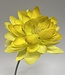 Yellow Lotus Flower | Silk artificial flower | Length 47 centimeters
