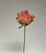 Roze Lotusbloem | Zijden kunstbloem | Lengte 47 centimeter