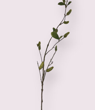 Green Magnolia in bud | silk artificial flower | 100 centimeters