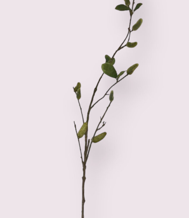 Green Magnolia in bud | Silk artificial flower | Length 100 centimeters