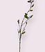Green Magnolia in bud | Silk artificial flower | Length 100 centimeters