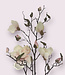 Branche de magnolia blanc | Fleur artificielle en soie | Longueur 107 centimètres