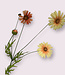 Orange Margriet | Silk artificial flower | Length 92 centimeters