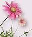 Pink Margriet | Silk artificial flower | Length 92 centimeters