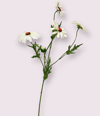 MyFlowers Witte Margriet | zijden kunstbloem | 60 centimeter