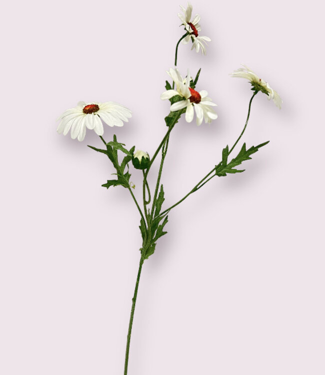 Witte Margriet | Zijden kunstbloem | Lengte 60 centimeter