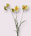 Yellow Daffodil | Silk artificial flower | Length 68 centimeters