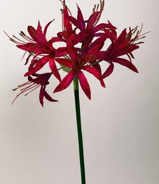 Silk Flowers by JJ Pink Nerine | silk artificial flower | 67 centimeters