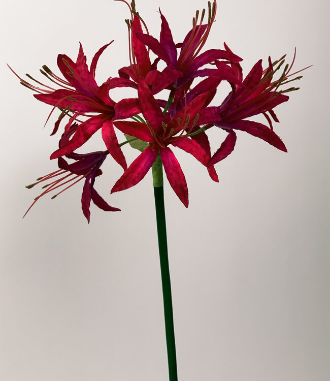 Pink Nerine | Silk artificial flower | Length 67 centimeters