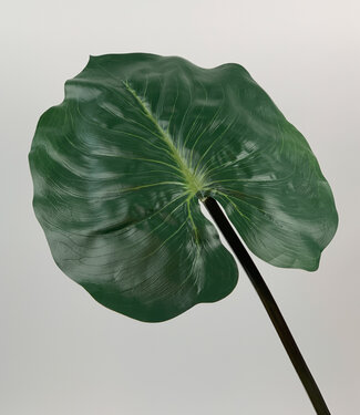 Silk Flowers by JJ Green Elephant Ear Leaf | silk artificial flower | 100 centimeters