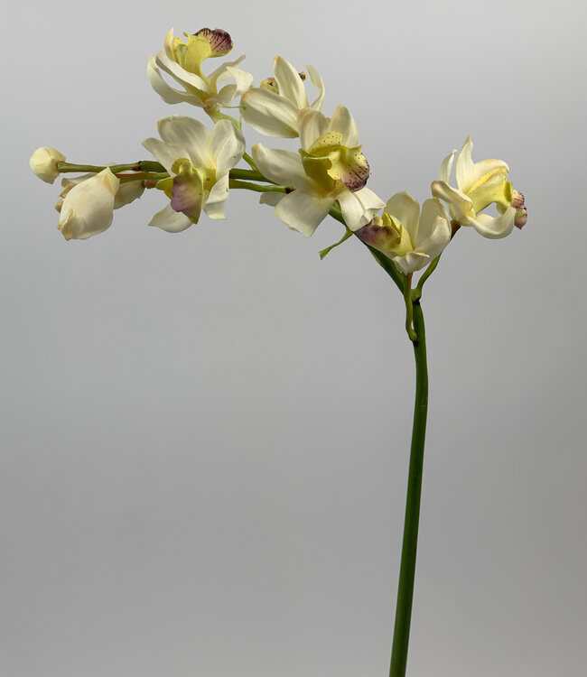 Cream Orchid | Silk artificial flower | Length 85 centimeters