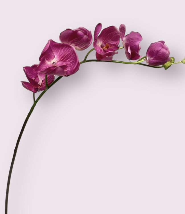 Roze Orchidee | Zijden kunstbloem | Lengte 114 centimeter