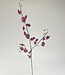 Rosa Orchideenzweig | Kunstblume aus Seide | Länge 47 Zentimeter