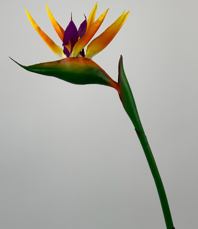 Orange Bird of Paradise Flower | Silk artificial flower | Length 88 centimeters