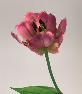 Tulipe perruche rose | fleur artificielle en soie | 50 centimètres