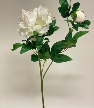 Witte Pioen | zijden kunstbloem | 68 centimeter