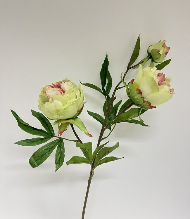 Pivoine jaune-rose | Fleur artificielle en soie | Longueur 73 centimètres