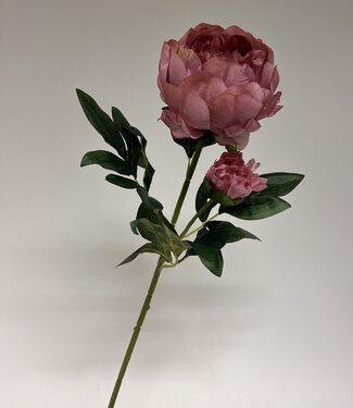 MyFlowers Roze Pioenroos | zijden kunstbloem | 66 centimeter