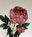 Pivoine rose | Fleur artificielle en soie | Longueur 66 centimètres