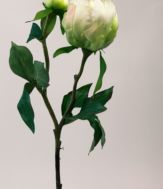 MyFlowers White Peony | silk artificial flower | 45 centimeters