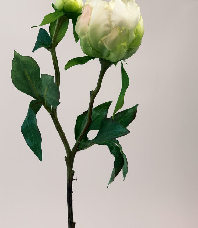 White Peony | Silk artificial flower | Length 45 centimeters