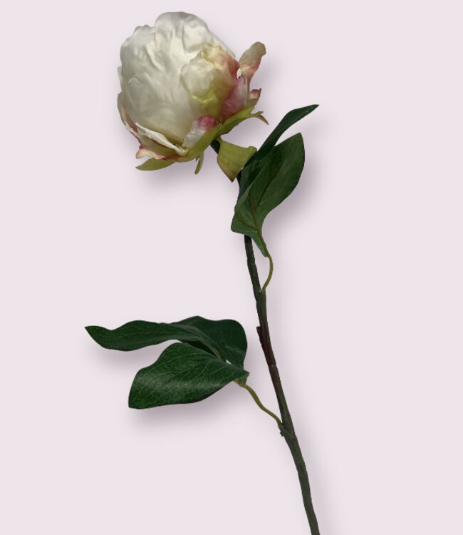 Pivoine blanche | Fleur artificielle en soie | Longueur 52 centimètres