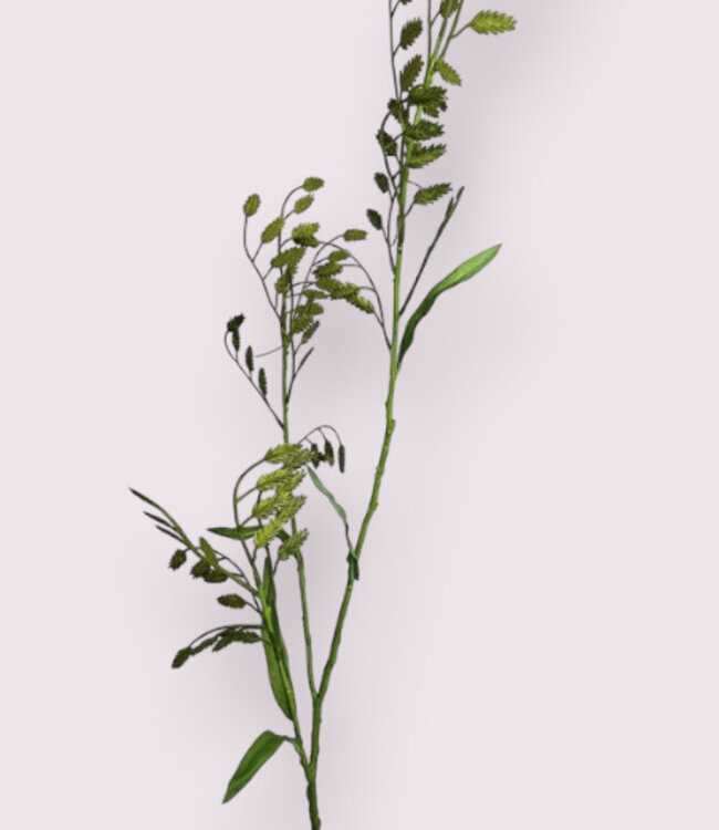 Chasmanthium vert | Fleur artificielle en soie | Longueur 115 centimètres