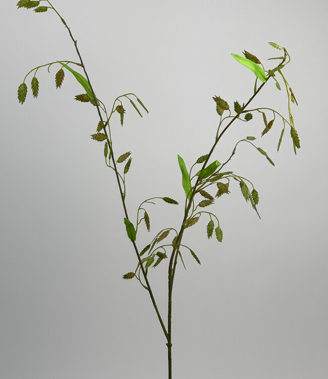 Green Chasmanthium | Silk artificial flower | Length 87 centimeters