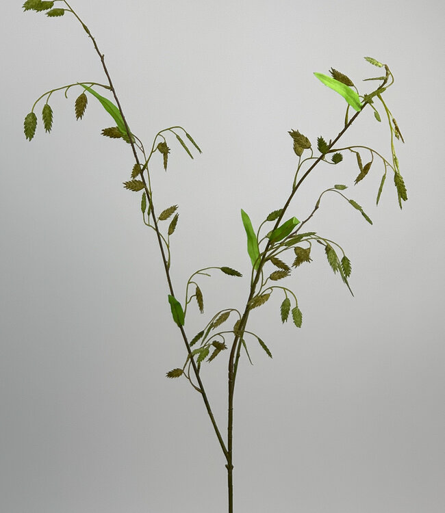 Groene Chasmanthium | Zijden kunstbloem | Lengte 87 centimeter