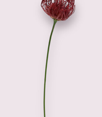 Fuchsia Protea | silk artificial flower | 58 centimeters