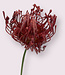 Fuchsia Protea | Silk artificial flower | Length 58 centimeters