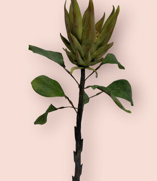 Groene Protea | zijden kunstbloem | 67 centimeter