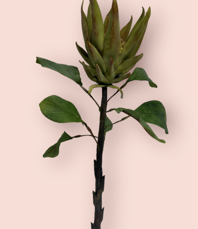 Groene Protea | Zijden kunstbloem | Lengte 67 centimeter
