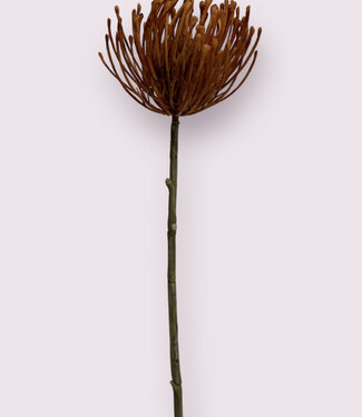 Oranje Protea | zijden kunstbloem | 58 centimeter